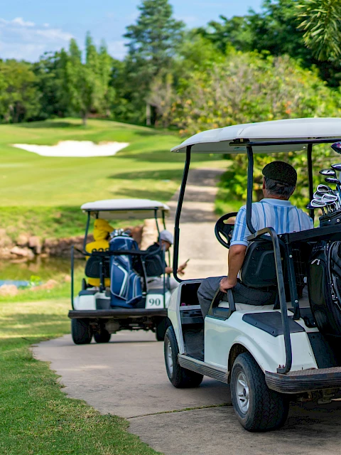 Two golf carts on a path near a lush green golf course, with players and clubs visible, surrounded by trees and a small water body.