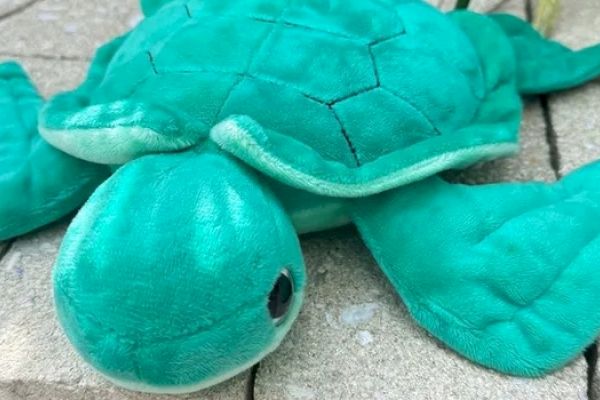 A green plush turtle toy is lying on a paved surface.